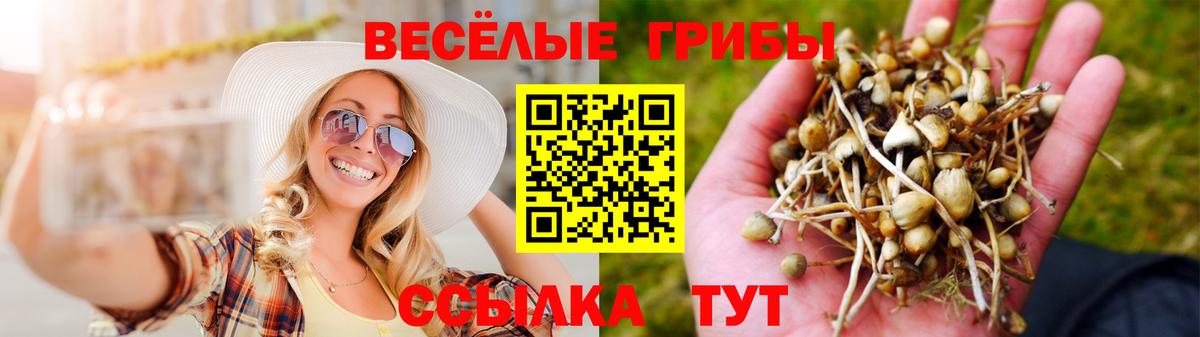 Псилоцибиновые грибы ЛСД  даркнет сайт  Кимры  Вход с VPN 